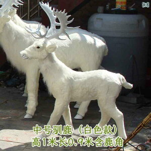 @@킢 V~[V giJC jz WJ i  W{ fXNgbvEBhE   NX}X wWJ 