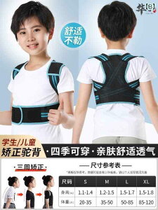 @w@T|[^[ hCc qp ނ   qp Ȃ  w xg w w eB[GCW[  p A[eBt@Ng Nbv