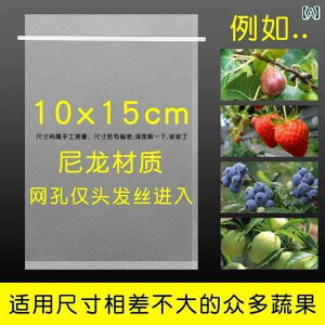 ܁@bV@lbg  bV lbg }S[ p obO iCbV uhE S  r ʕ   ی Jo[