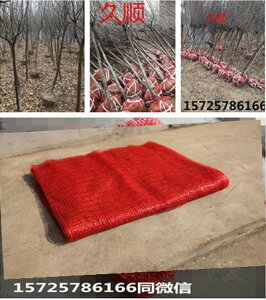 ܁@bV@lbg  bV lbg A At ؂  bVobO y {[ bVlbg obO bV lbg