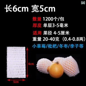 ܁@bV@lbg t[c lbg obO ی ϏՌ  C`S IW S Jo[