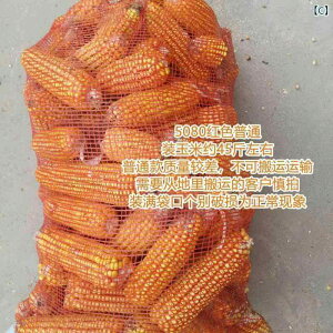 ܁@bV@lbg gERV bVobO D obO jjN  ^}lM Tc}C W t[c iC Í  ^