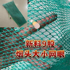 ܁@bV@lbg iCbV obO  {Bp  D  h~ lbg 쐶 ނp ^ bV