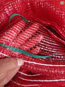 bVobO@lbgobO@ŷ lbg obO ҂  bVobO { Aq W jjN ^}lM gERVp iC Í