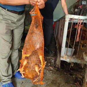 bVobO@lbgobO@ŷ bVobO D obO  bV  W ^}lM gERV Í  lbg