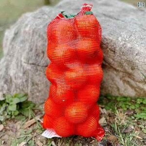 bVobO@lbgobO@ŷ Í bVobO D obO W { ʂ˂ gERV lbg   bV