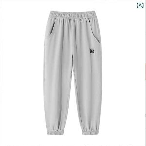 St@EFA@X|[c qp St pc ėp z  Y{ j̎q ̎q y Lk X|[c