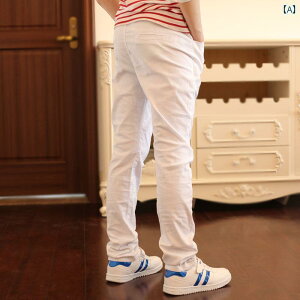 St@EFA@X|[c qp St pc j̎qp Y{ t EGXg S X|[c j̎q JWA 傫TCY