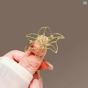 ANZT[@p[@WG[  u[`   X[c s Io h~  ANZT[