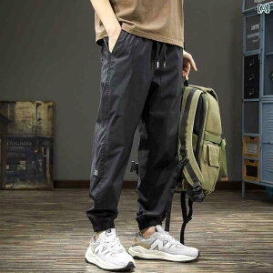 �����Y�@�Y�{���@�J�W���A���p���c 2024�� �����Y�J�W���A�� �J�W���A�� �p���c ������� �傫���T�C�Y ���� �X�|�[�c �⊴ ���� ���M���X