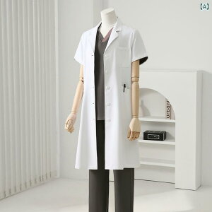 @ƕ@[N y _炩  Dz  O[h    e@ 2025 t jp ƒ