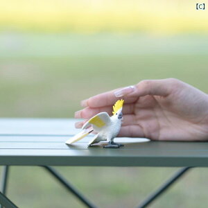 @@tBMA p| AJTt@ nNgEV E~V V ~~YN VtNE RSECR  ҋח ͌^ V