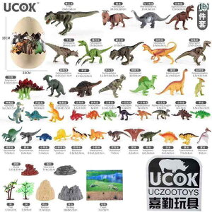 @@tBMA j̎q  V~[V  q   eBmTEX bNX E  Cm Zbg