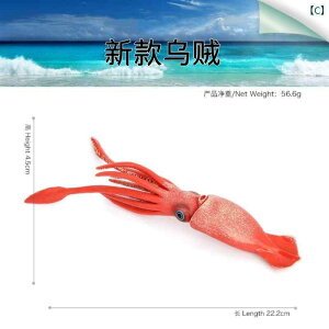 @@tBMA  CJ }bRENW  \tgWF Cm  TTEX T_ N j eEX gݍ킹 Mtg