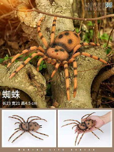 @@tBMA N nI gbN    qp A n` JugV ob^  