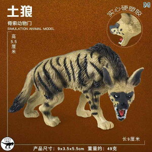 @@tBMA ` qp @   R[e nCGi V~[V WbJ i ő j̎q Fm