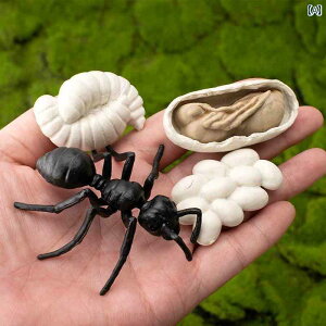 @@tBMA ~j  A   TCN ÓI fXN gbv  q Ȋw  Fm ߋ