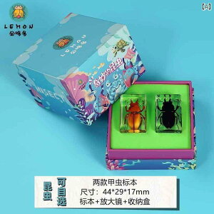 @@tBMA ct̏  Ȋw   W{  F JugV N T\ i Mtg {bNX