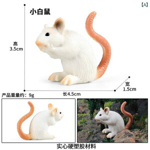 ��������@�����@�t�B�M���A �q���� �������� �쐶 ������ �͌^ �}�E�X �I�|�b�T�� �������b�g �O���E���h�z�b�O �Ԃ���� �F�m �\�� �g���b�L�[�� ������ �����i