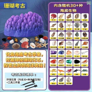 @@tBMA qp Cm  lÊwI @ ߋ C  TS L  T j̎q  mbN ΍p