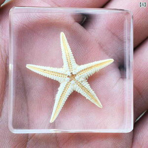 @@tBMA     W{    F JugV T\ N Z~ ܕi