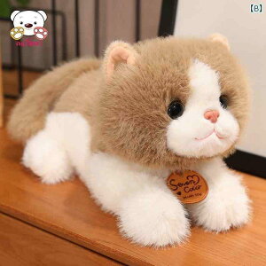 l`@@킢 킢 V~[V qL ʂ  q  K Mtg L l` Oh[  