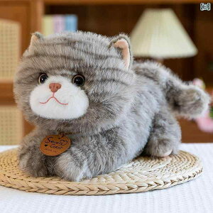 l`@@킢 V~[V p^[ L l` ʂ qL pp  ̎q qւ Mtg