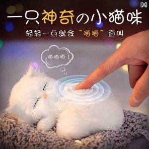 ʂ݁@l`@@ j[j[  qL l` ̎q  L 킢 ʂ ̎qւ Mtg