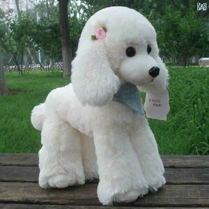 �ʂ�����݁@�l�`�@��������@ �v�[�h�� �l�` �q�� �ʂ������ �V�~�����[�V���� �r�V���� �e�f�B �� ���O�h�[�� �q�� �M�t�g ���킢�� ���̎q