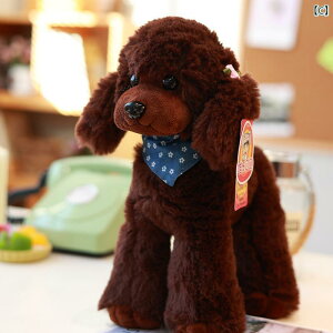 ʂ݁@l`@@  v[h efB  ʂ V~[V l` D o^C f[ Mtg 킢