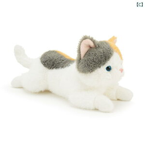 ʂ݁@l`@@ 킢 V~[V pp L l` oCIjbN qL ʂ  _炩 a v[g 