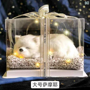 ʂ݁@l`@@ i V~[V L l` qp ʂ ̎q 킢  i a v[g