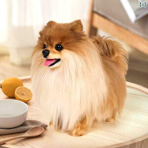 ʂ݁@l`@@ American Kadou N[ ͋[ |jA  l` ʂ Mtg j̎q ̎q