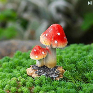 @@fBXvC  LmR  i Ԃ ~͂    A }CN hXP[vK[f   ԊwI {g V~[V