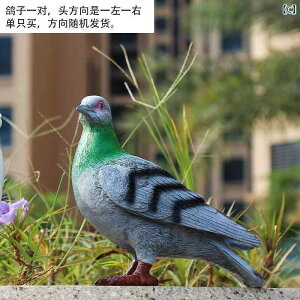 @@fBXvC    O oRj[    V~[V 