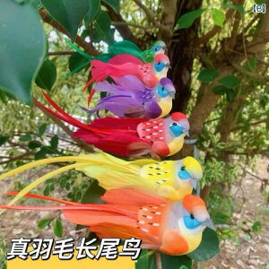 @@fBXvC 킢 ̓I   Ǌ| ~ ct ƒ   i V~[V H