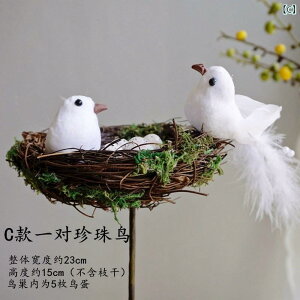 @@fBXvC c i X R     i XY  H   CAEg