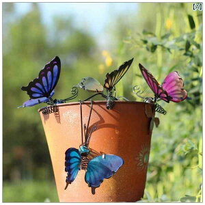 @@fBXvC AJ Jg[ O K[f fR[V eX  [h ACA o^tC y_g oRj[ CAEg 