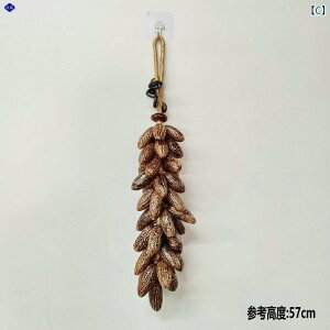 @@fBXvC g   t[c 쐶  ݂ R ze Xg o[    A i