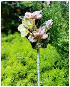 @@fBXvC Op t[ CT[g Aؔ  vO C z[XeC   I[v GA oRj[K[f CAEg