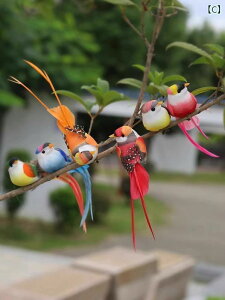 @@fBXvC V~[V  JTTM i   Ԃ A ct CAEg EFfBO  v[g