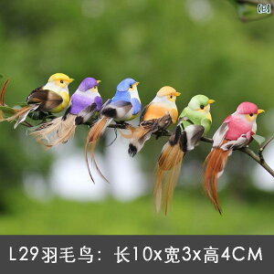 @@fBXvC I V~[V  X  }  tH[ tFCN  |p q̓I H