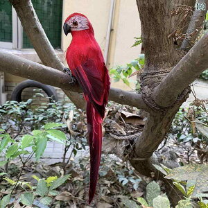 @@fBXvC  V~[V  H  Jt IE tFCN i     y_g