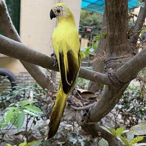 @@fBXvC  V~[V  H  Jt IE tFCN i     y_g