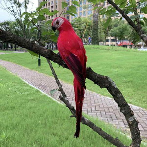 @@fBXvC ͋[  IE ؑ   ct O R R[i[ i B   CAEg