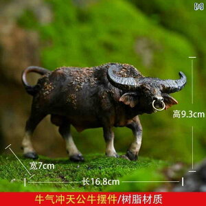 @@fBXvC `Ci  蕨 fXN gbv rO [   }CN i r n  ~ bNK[f 