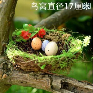 @@fBXvC AJ ƒp Ƌ rO [   oRj[  V~[V   