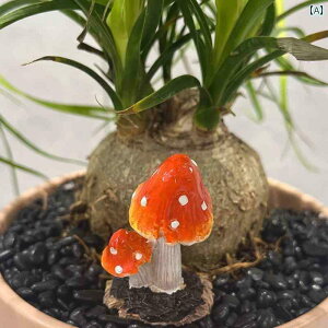 @@fBXvC  LmR  i Ԃ ~͂     }CN hXP[v     V~[V