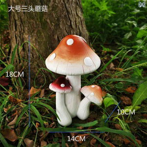 @@fBXvC V~[V LmR i O K[fB   Ő R~jeB ct  CAEg