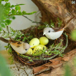 @@fBXvC   O i  R[i[ CAEg   n ʑ X  i K[fjO 